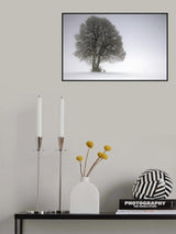 Winter tree Poster och Canvastavla