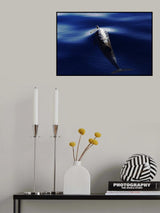 Breath Poster och Canvastavla