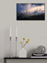 Dried trees Vs Mountains Poster och Canvastavla