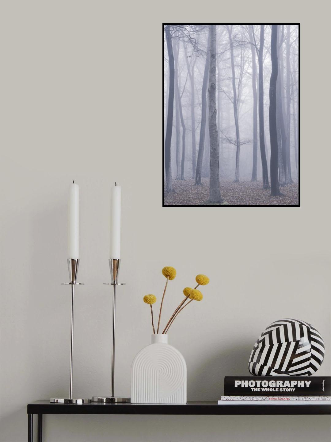 trees in fog Poster och Canvastavla