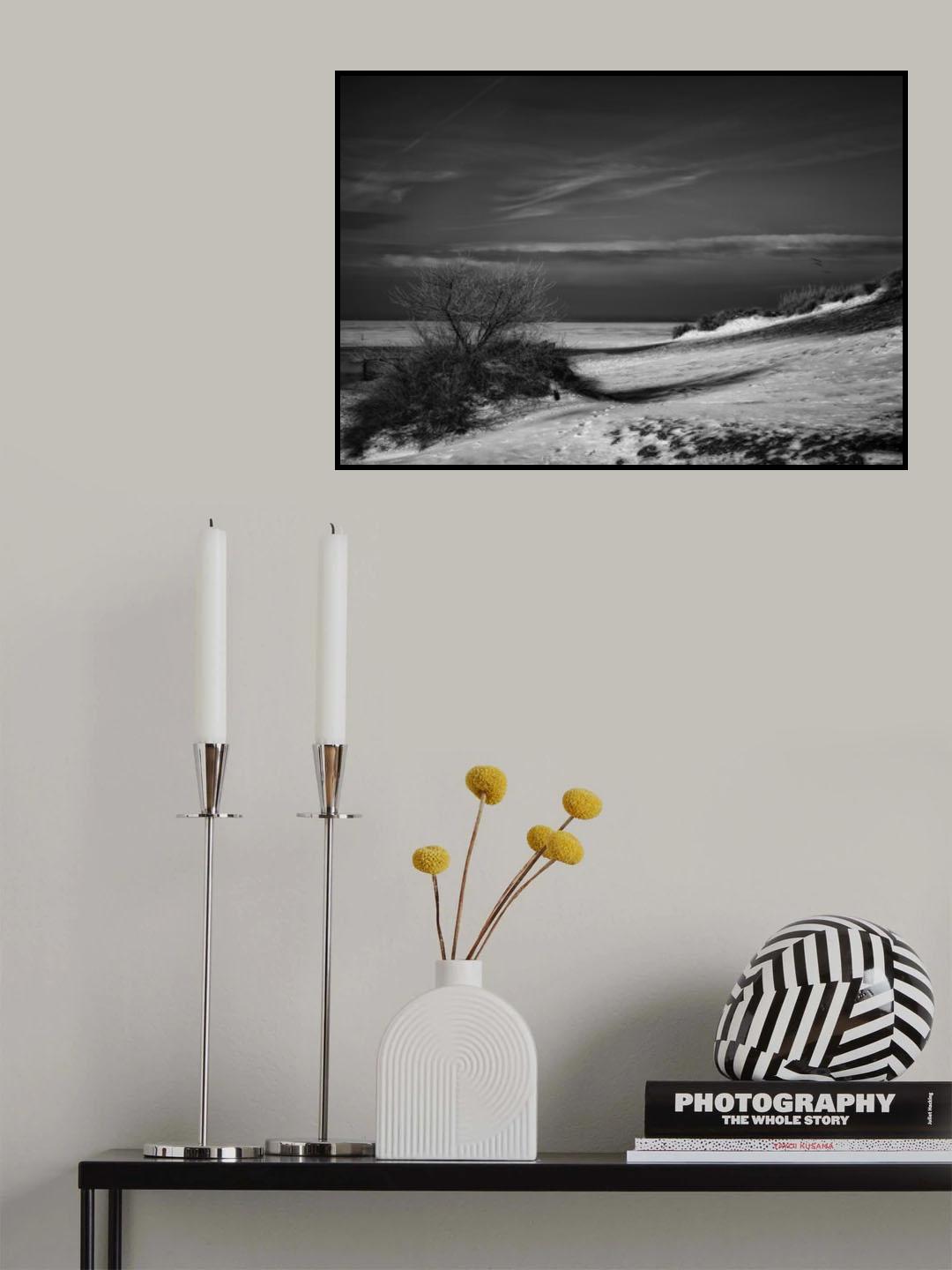 Solitary snowy winter beach Poster och Canvastavla