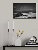 Solitary snowy winter beach Poster och Canvastavla