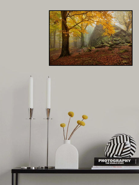 Autumn forest Poster och Canvastavla
