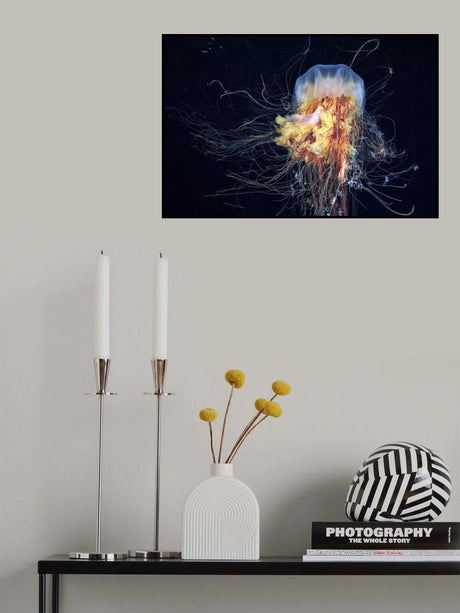 Giant Lion's Mane Poster och Canvastavla