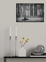the cellist Poster och Canvastavla