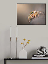 I come for you Poster och Canvastavla