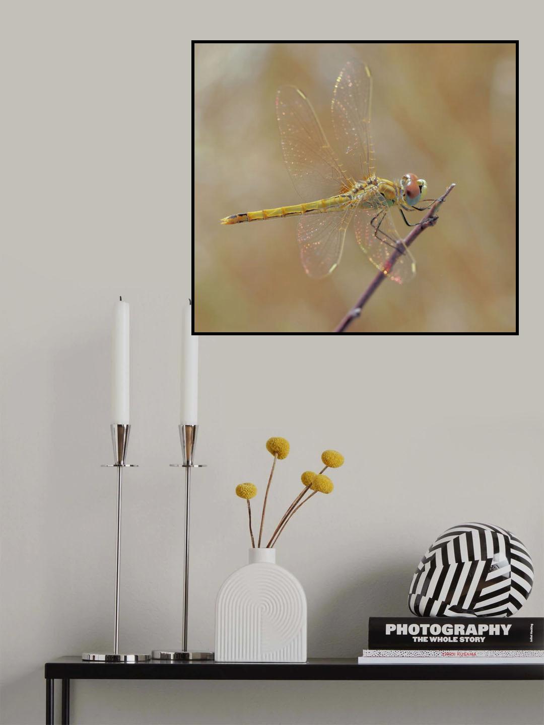 The sun fairy... Poster och Canvastavla