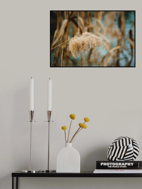 reed flower Poster och Canvastavla