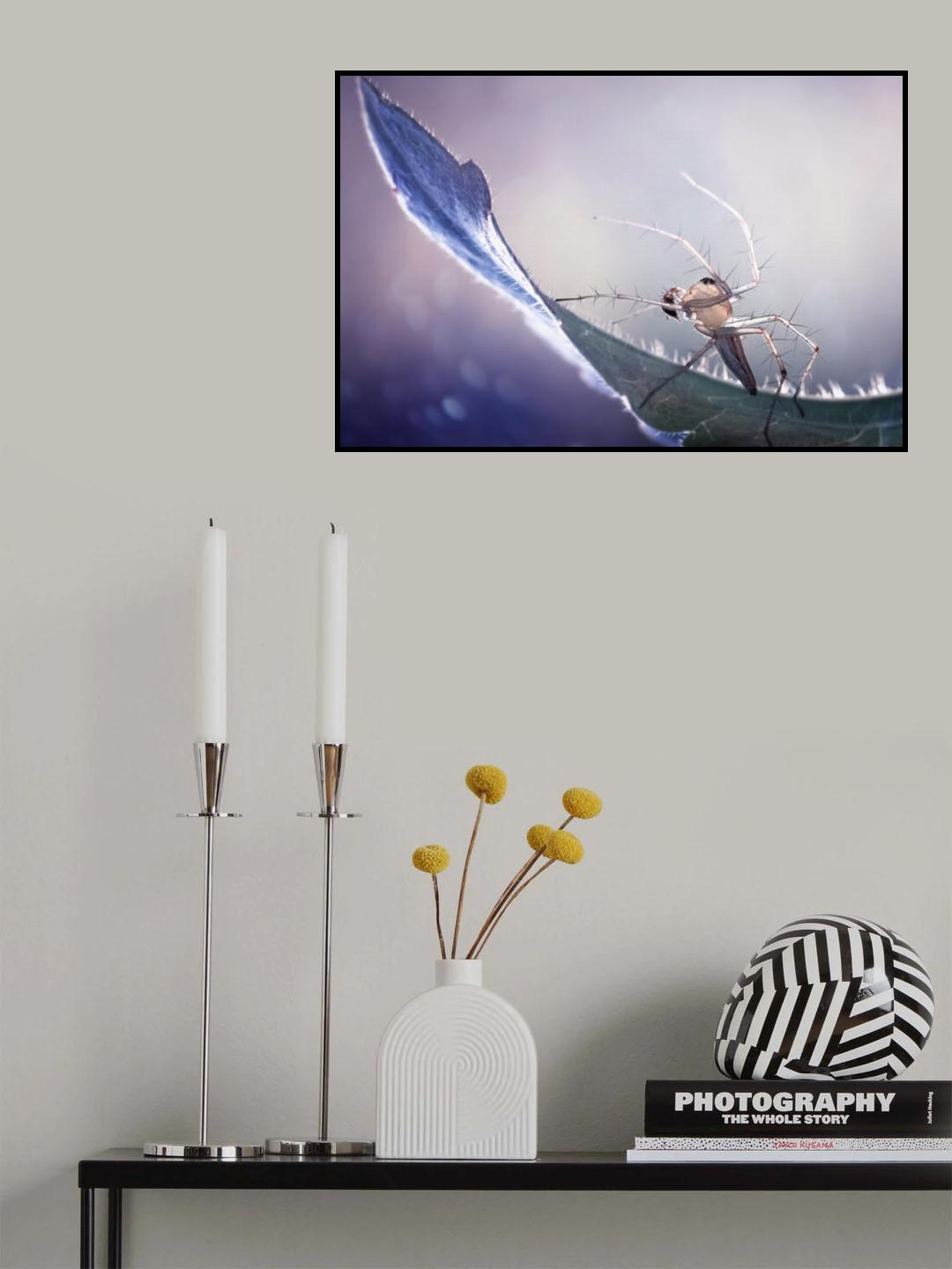 The Spider Poster och Canvastavla