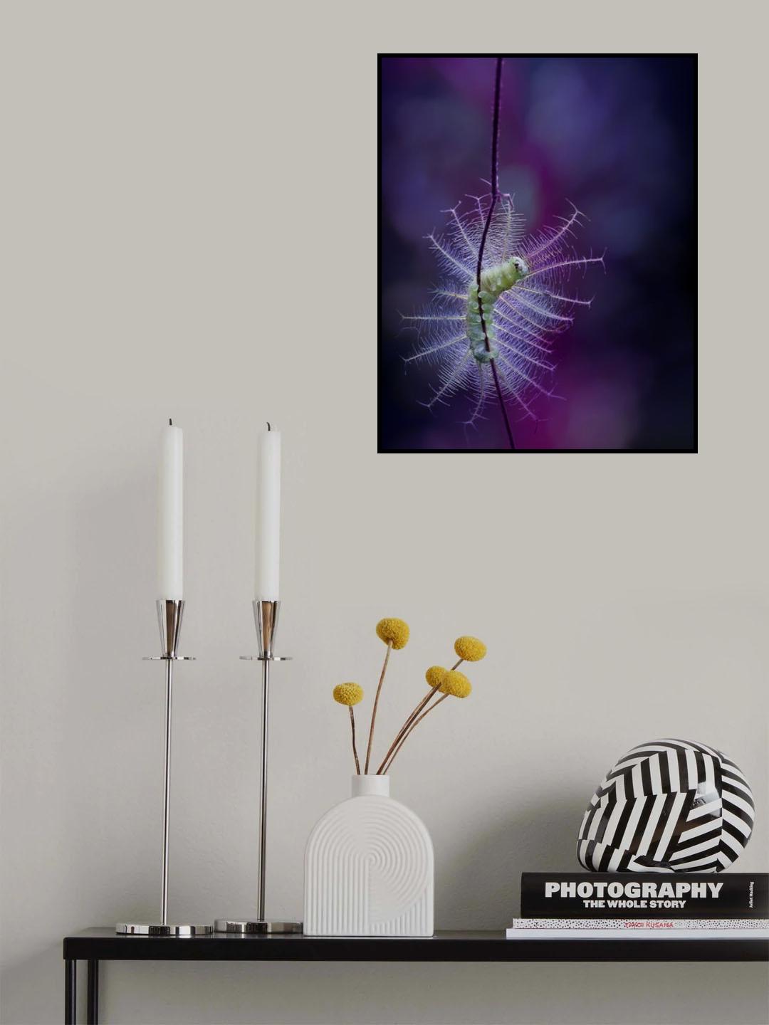 The Beauty of Caterpillar Poster och Canvastavla