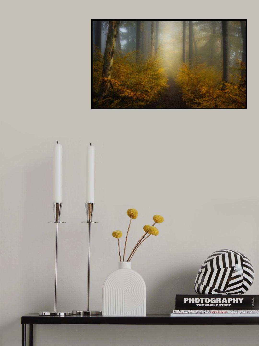 Take me for a walk Poster och Canvastavla