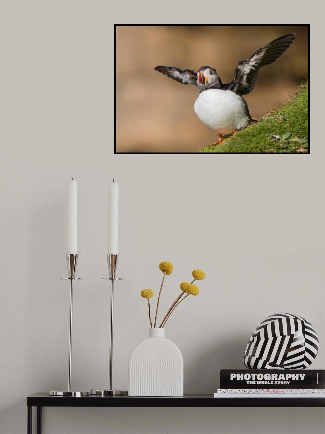 Puffin Poster och Canvastavla