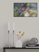 Birth into the universe... Poster och Canvastavla