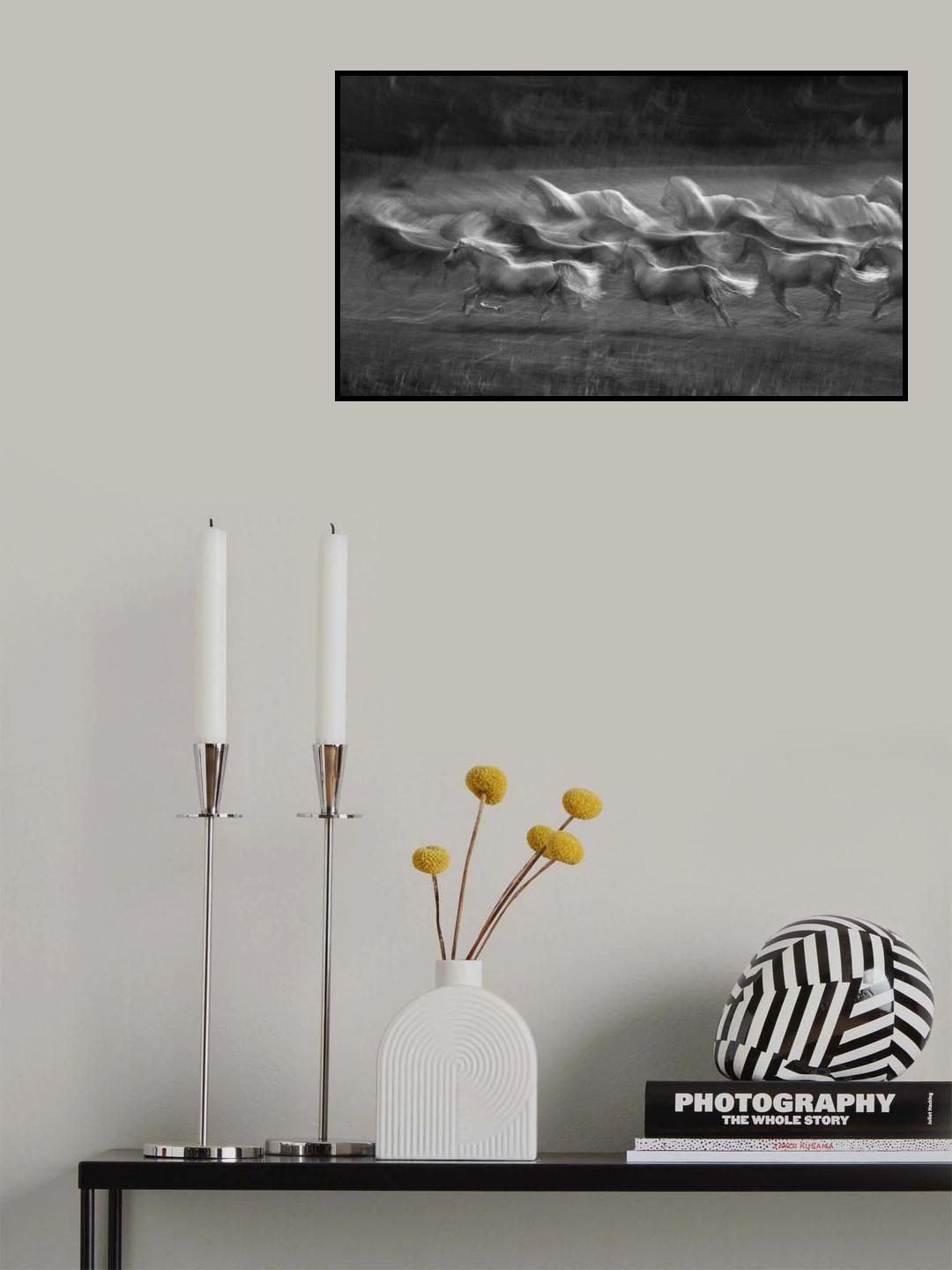 Stampedo Poster och Canvastavla