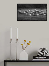 Stampedo Poster och Canvastavla