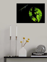 silhouette Poster och Canvastavla