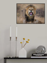 The King is Mad Poster och Canvastavla