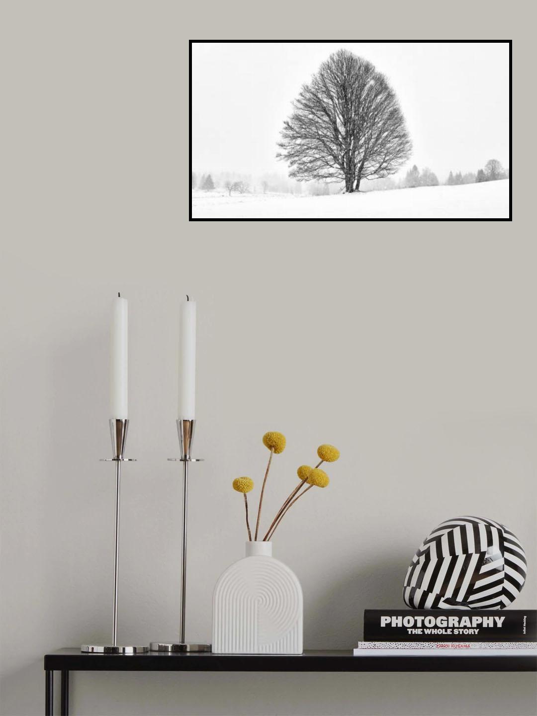 LONELY TREE Poster och Canvastavla