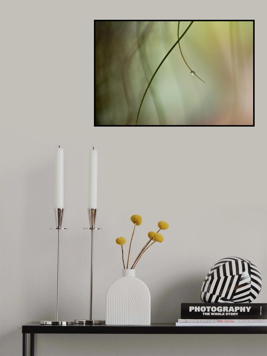 Droplet Poster och Canvastavla