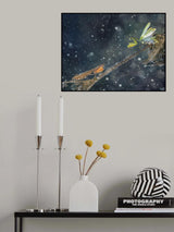 *** Poster och Canvastavla