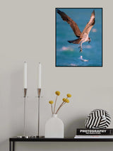 GOT AWAY! Poster och Canvastavla