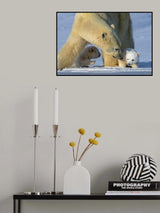 warm moment Poster och Canvastavla