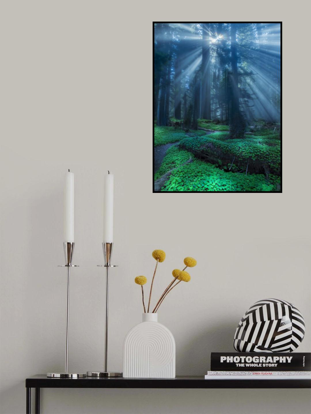 Redwood sorrel. Poster och Canvastavla
