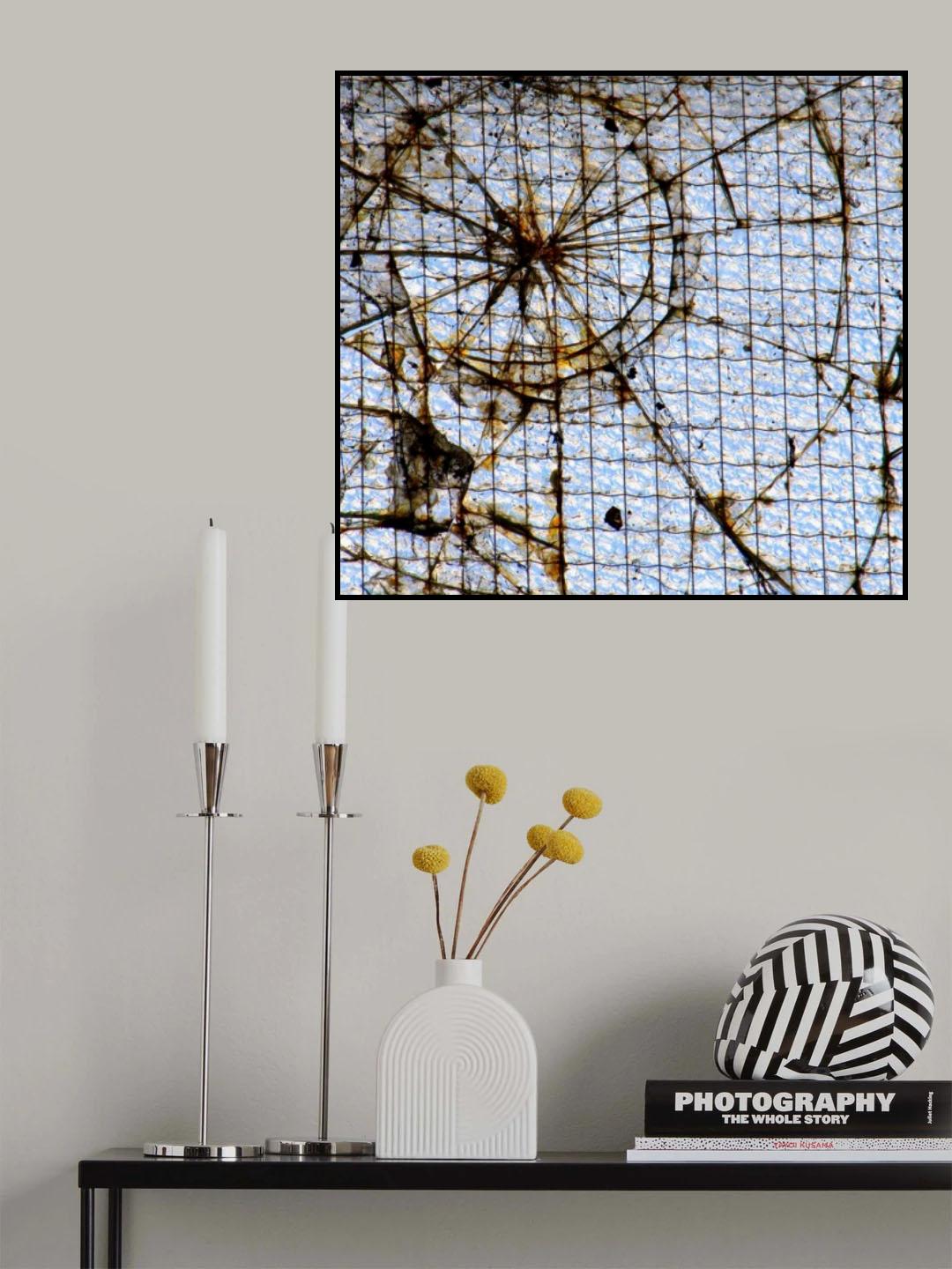 spiderweb Poster och Canvastavla