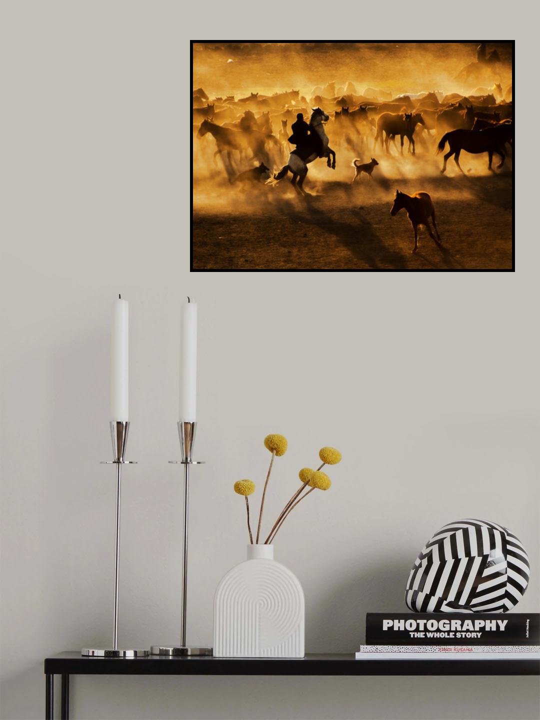 golden tıme Poster och Canvastavla