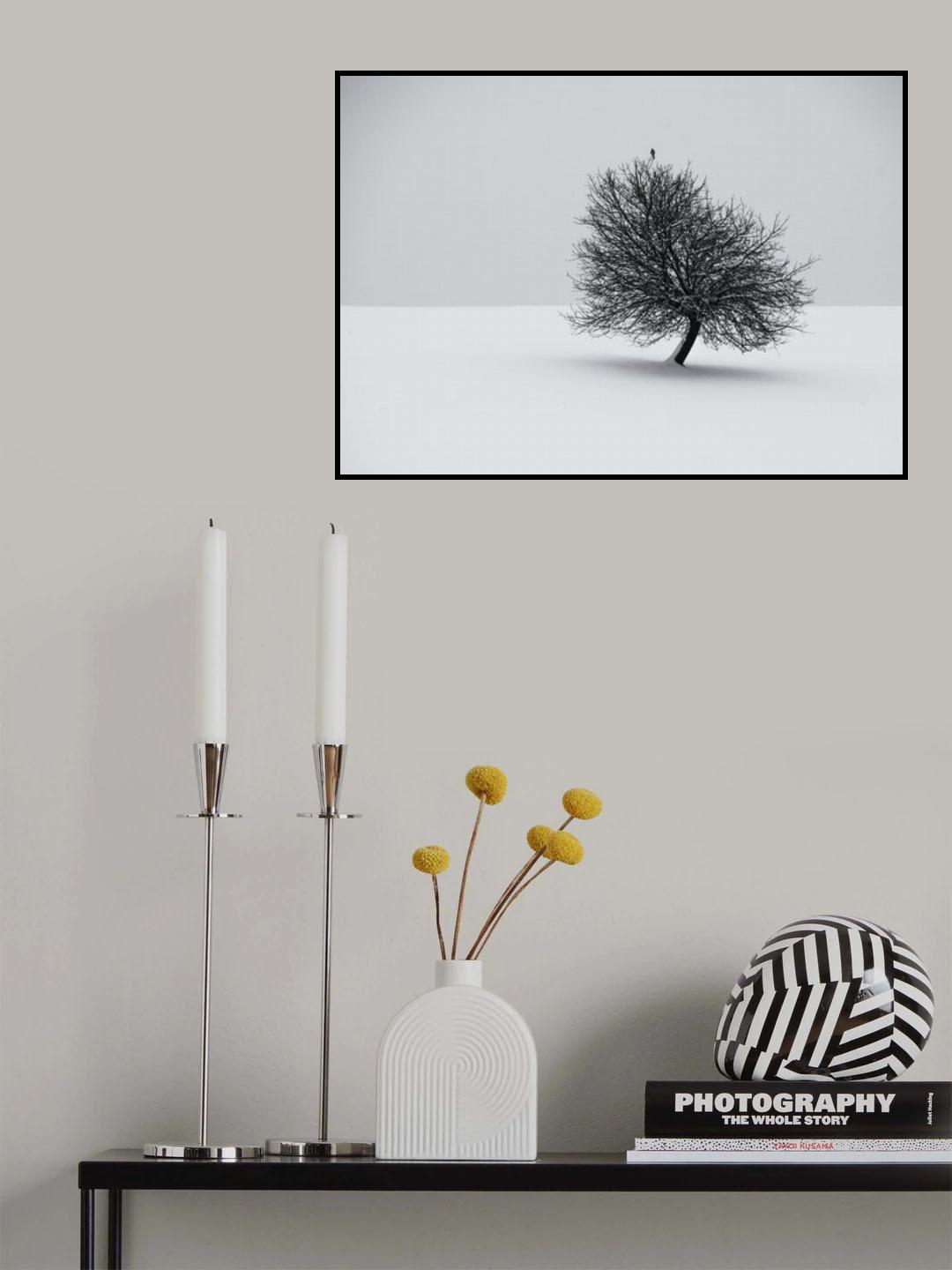 winter Poster och Canvastavla
