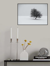winter Poster och Canvastavla