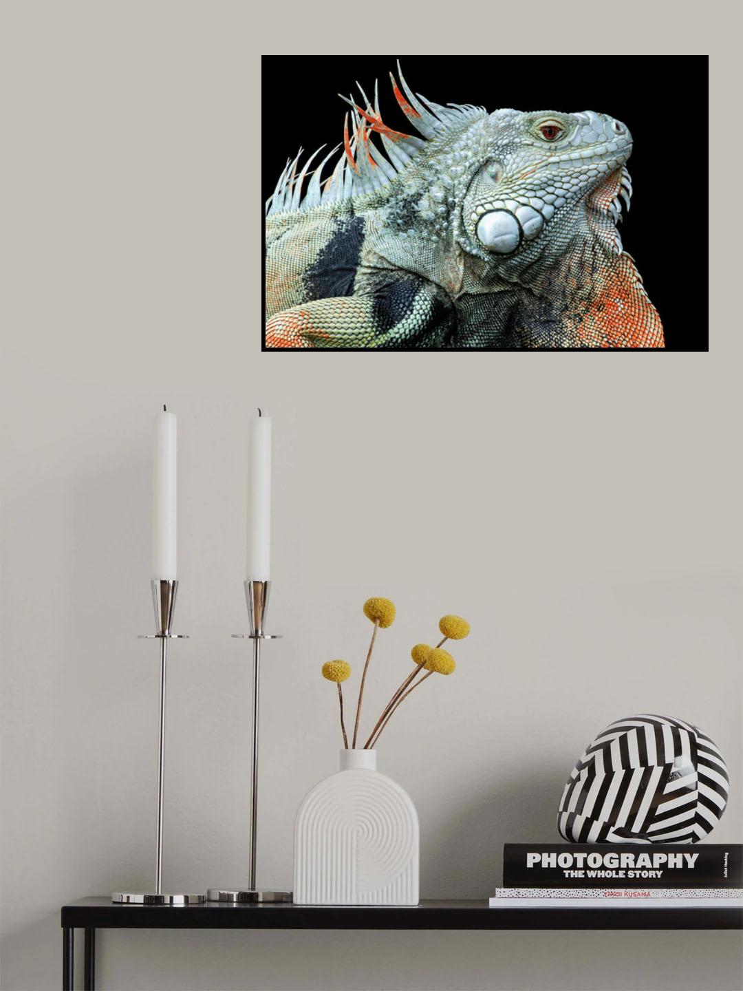 The Iguana Poster och Canvastavla