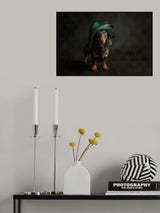 Napoleon? Poster och Canvastavla