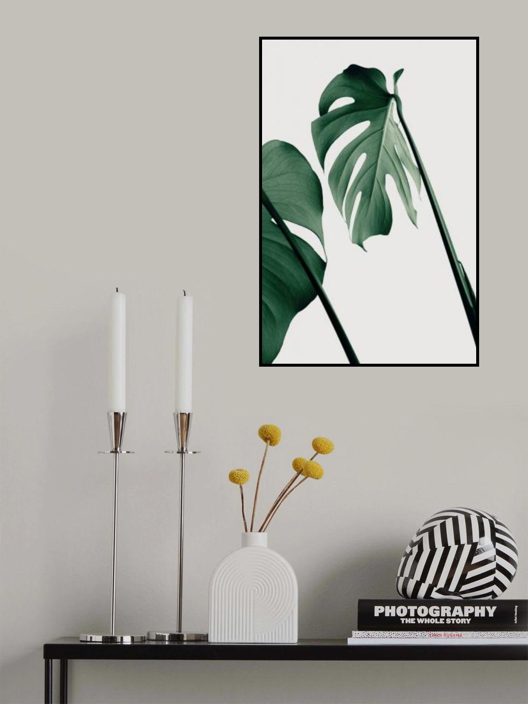 Monstera Natural 17 Poster och Canvastavla