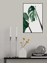 Monstera Natural 17 Poster och Canvastavla