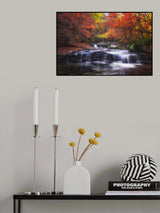 Autumn fall Poster och Canvastavla