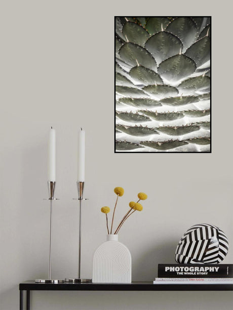 Agave Layers Poster och Canvastavla