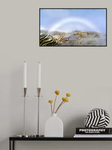 Fog bow in rice terraces Poster och Canvastavla