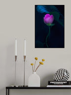 Lotus in light Poster och Canvastavla