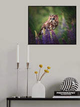 In the flowers Poster och Canvastavla