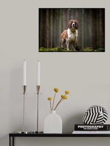 Brina Poster och Canvastavla