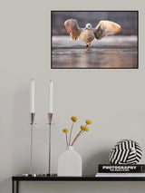 Dancer Poster och Canvastavla