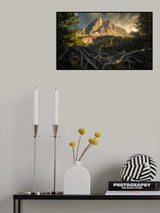 Roots... Poster och Canvastavla