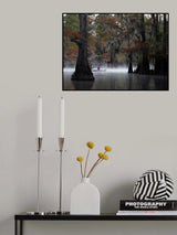 Foggy Lake Poster och Canvastavla