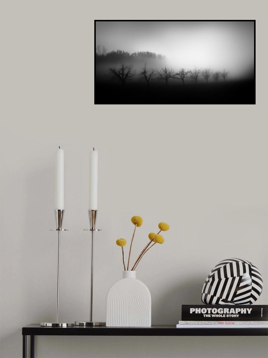 Trees in the mist Poster och Canvastavla