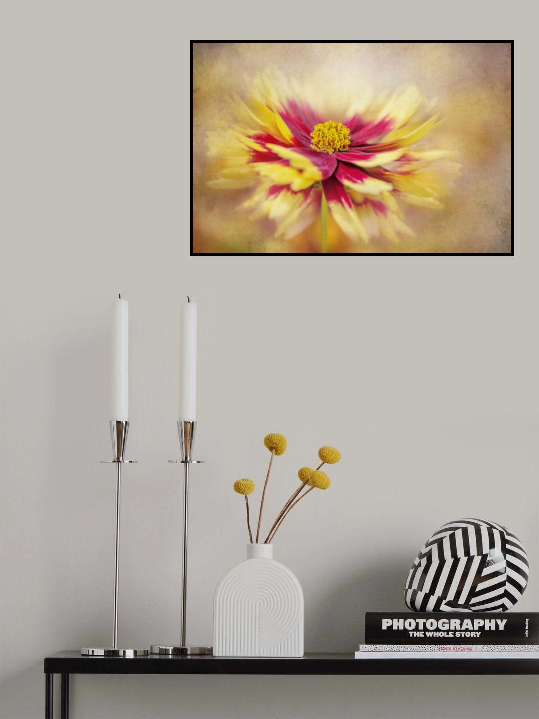 Coreopsis Poster och Canvastavla