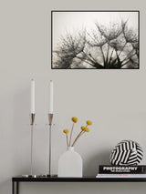 Fluff with dew Poster och Canvastavla