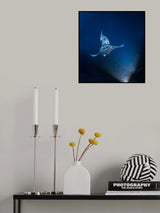 Into the blue Poster och Canvastavla