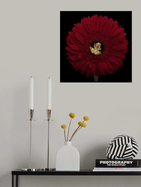 Center of Attention with the Hourgass Tree Frog Poster och Canvastavla