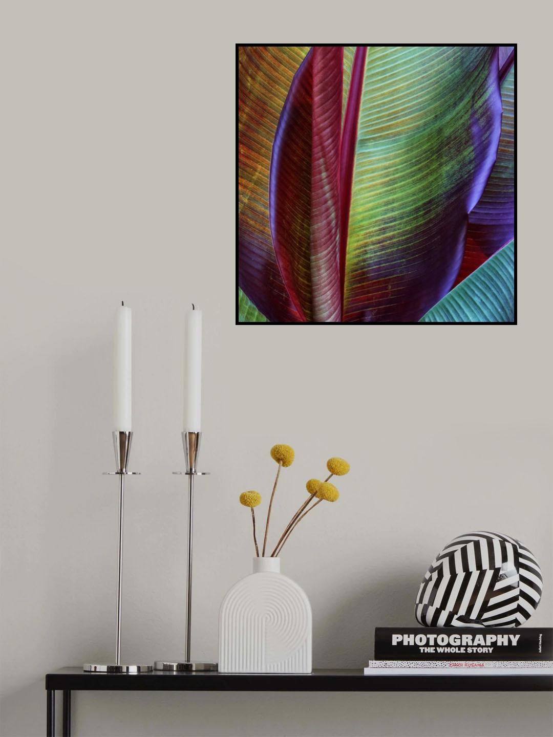 Banana skin Poster och Canvastavla